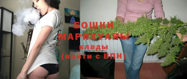 дмт Ельня