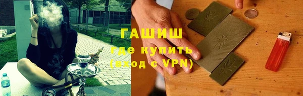 дмт Ельня