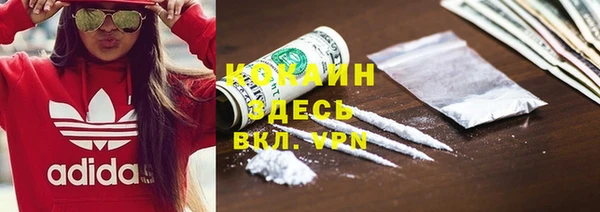 винт Елизово
