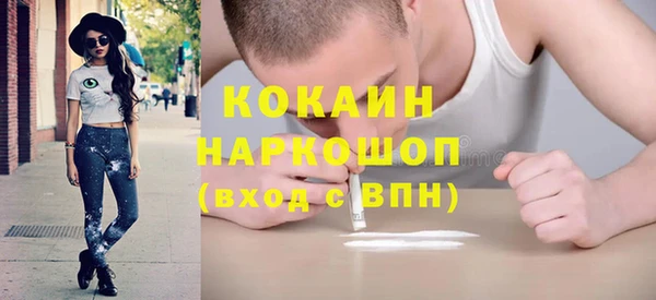 дмт Ельня