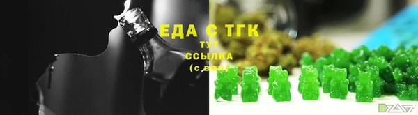 дмт Ельня