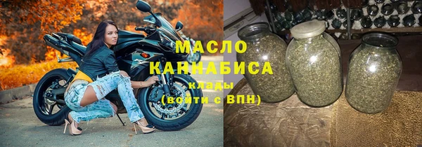 дмт Ельня