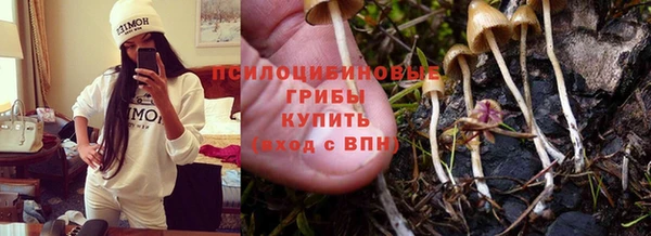 бошки Дмитровск