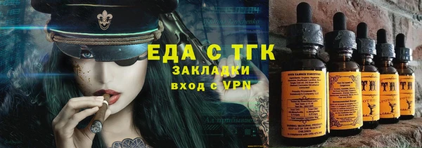 дмт Ельня